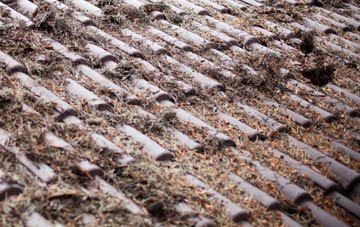 Weston Hills roof cleaning companies